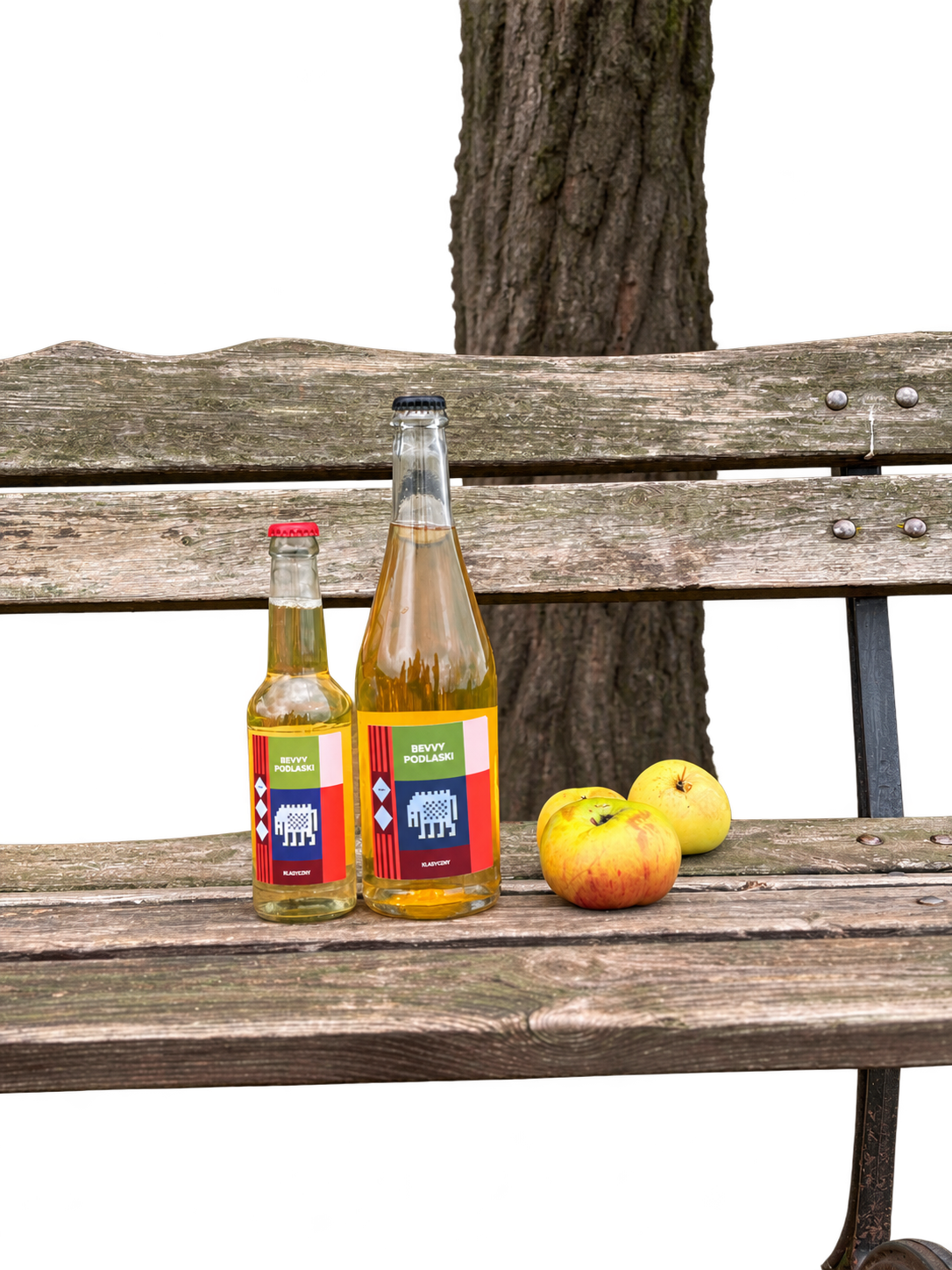 Dwie butelki cideru BEVVY PODLASKI i jabłka na drewnianej ławce pod drzewem
